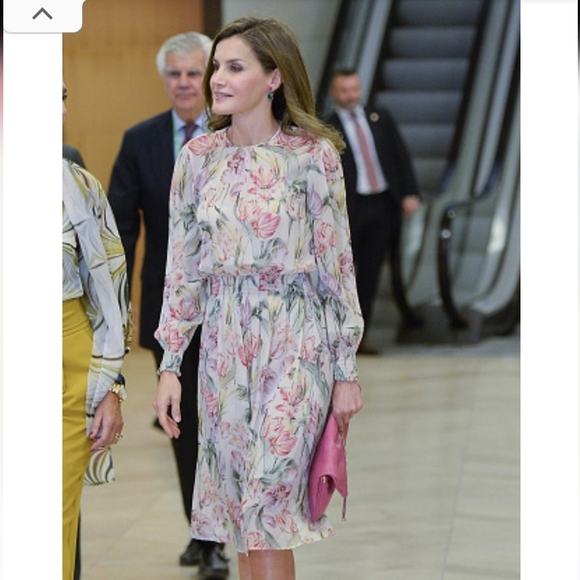 Zara Floral Tulip Printed Chiffon Dress in Pink ASO Queen Letizia - Picture 2 of 8